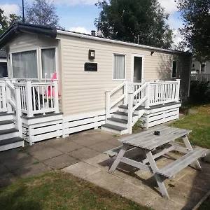 Narcissus Campsite Ferndown